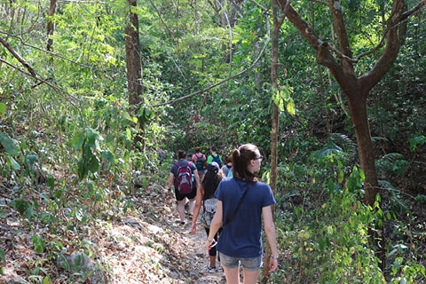 Students walking through jungle in Costa Rica