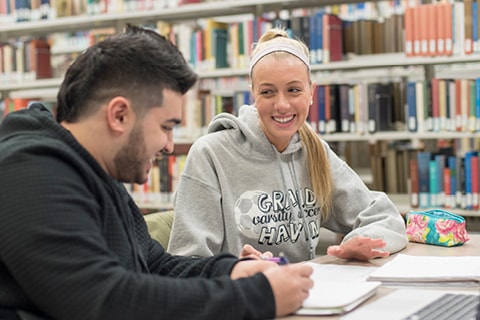 Students working in the Library