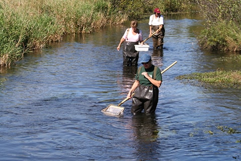 Students studying in stream