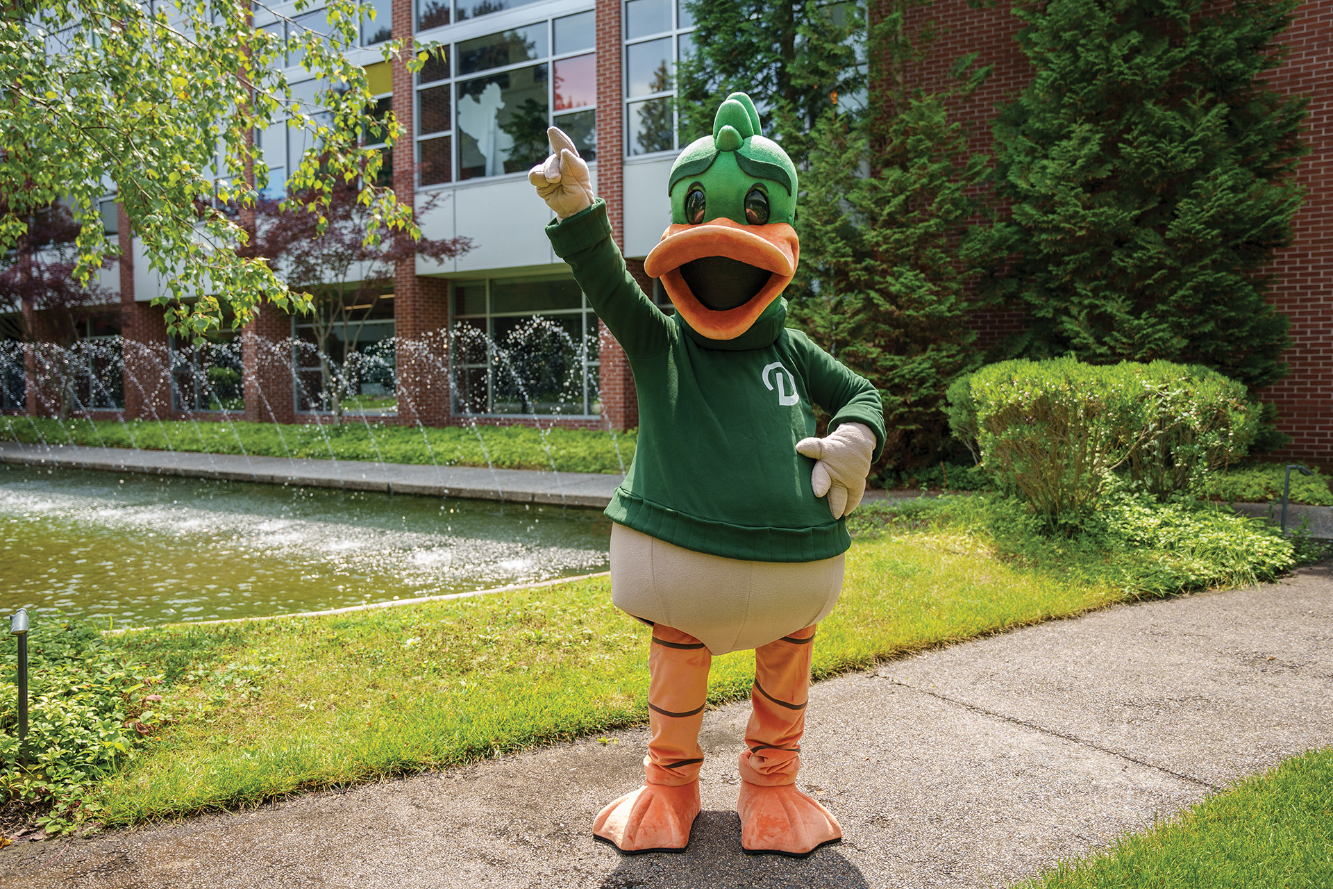 Duck in the Courtyard