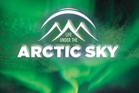 Life Under the Arctic Sky